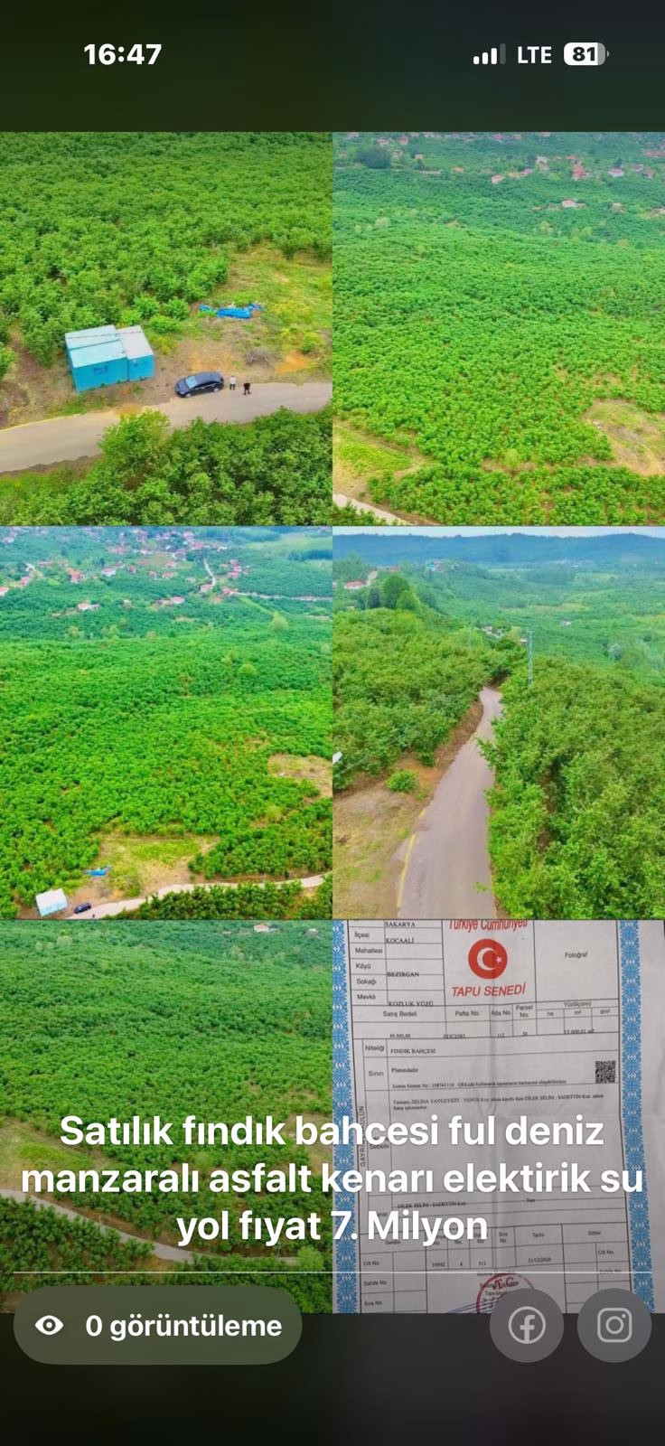 Sakarya Kocaali'de Satılık Fındık Bahçesi Ful Deniz Manzaralı Elektirik Su Yola Cepe